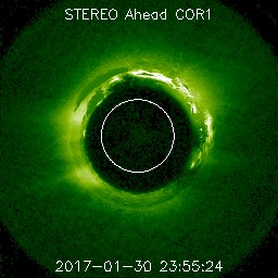 ahead/cor1/256/20170130_235524_s4c1A.jpg