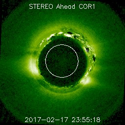 ahead/cor1/256/20170217_235518_s4c1A.jpg