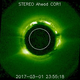 ahead/cor1/256/20170301_235518_s4c1A.jpg