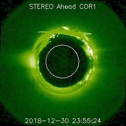 ahead/cor1/256/20181230_235524_s4c1A.jpg