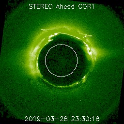 ahead/cor1/256/20190328_233018_s4c1A.jpg